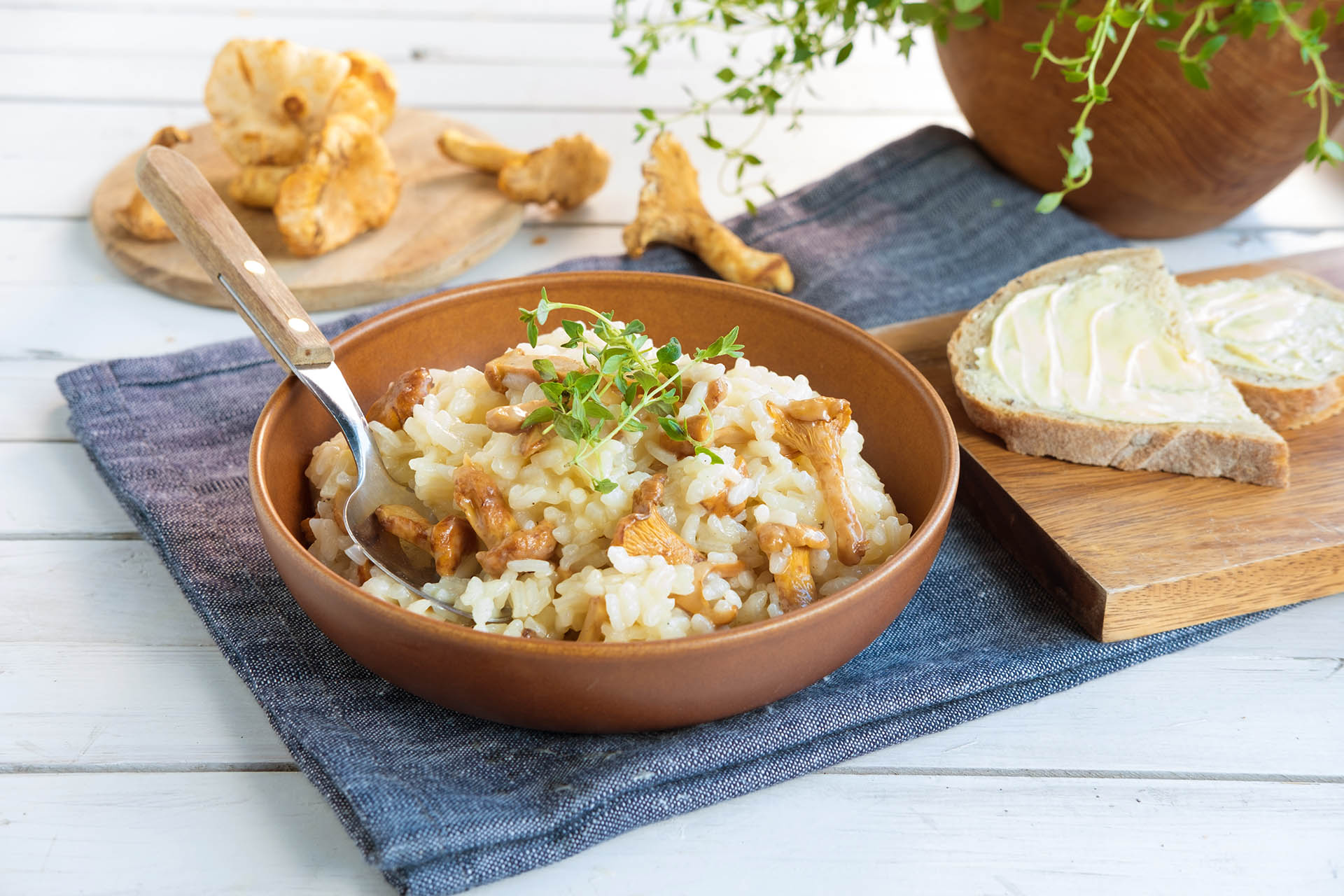 Risotto med sopp